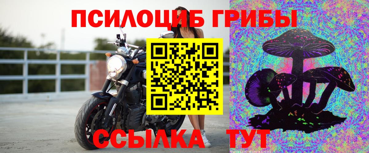 Галлюциногенные грибы Magic Shrooms Удомля