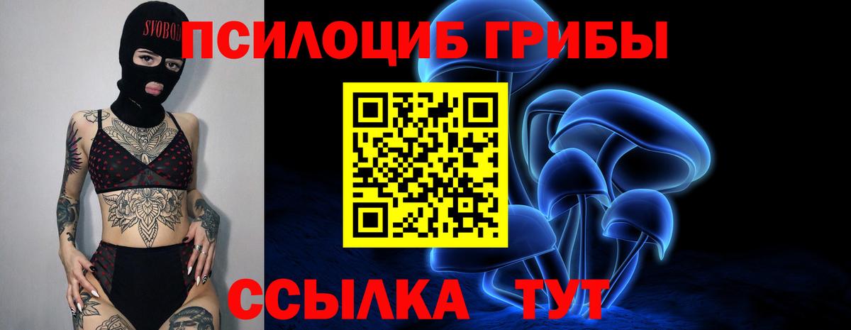 Псилоцибиновые грибы Cubensis  Вход с VPN  Удомля  Псилоцибиновые грибы Psilocybe 